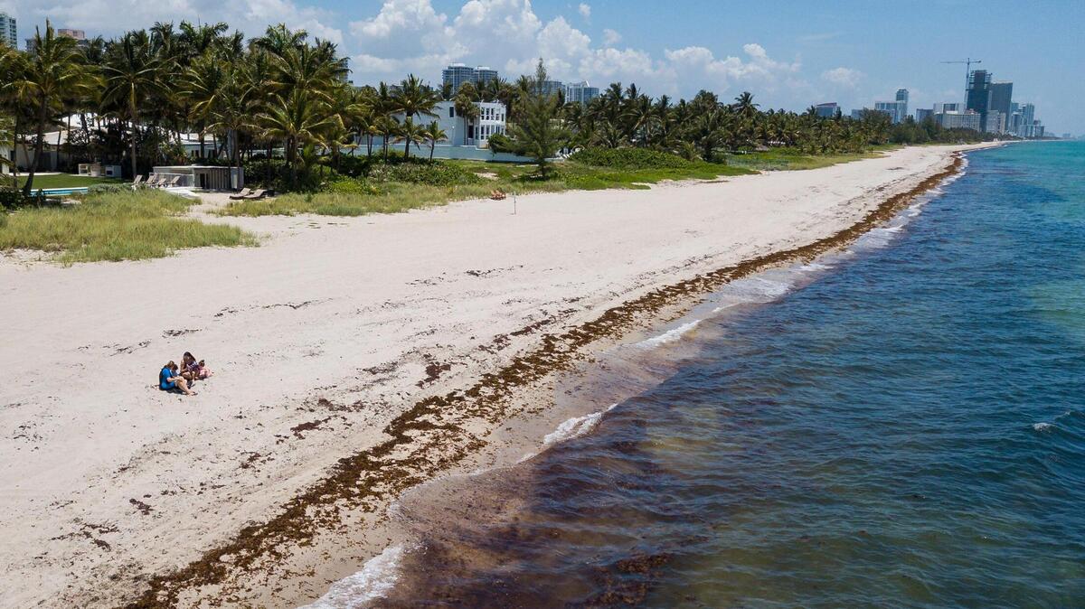 Aerial view of Golden Beach, Florida on Wednesday, June, 24, 2020.